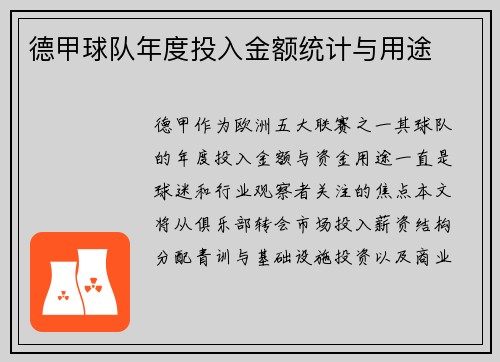 德甲球队年度投入金额统计与用途